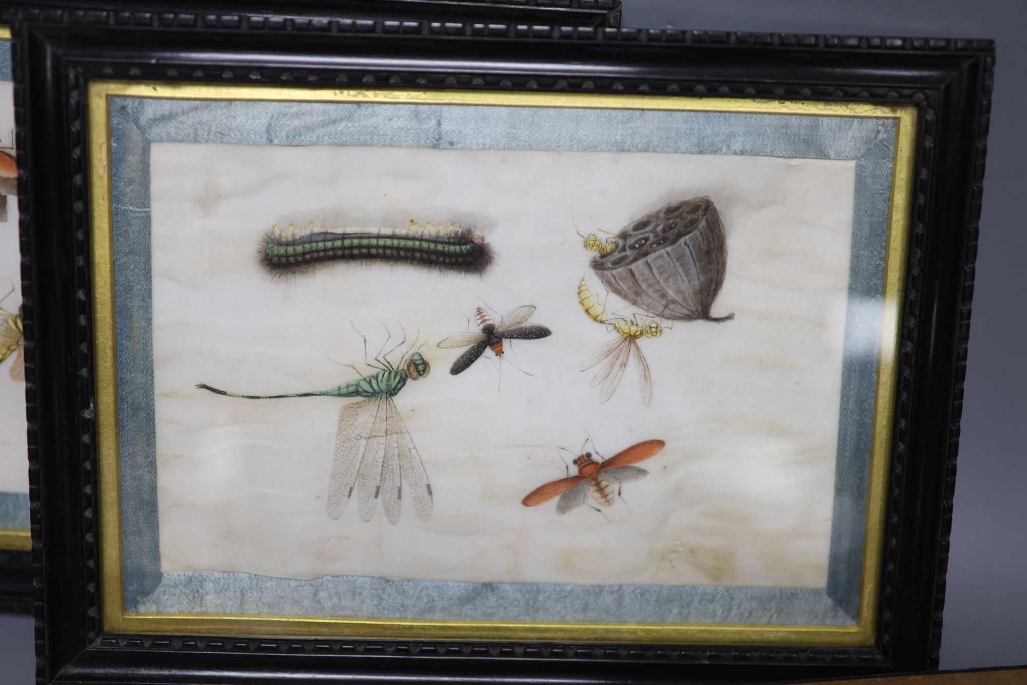 Four 19th century Chinese pith paintings of insects, 14.5 x 19.cm including ribbon border and three pith paintings of, 10 x 7.5cm